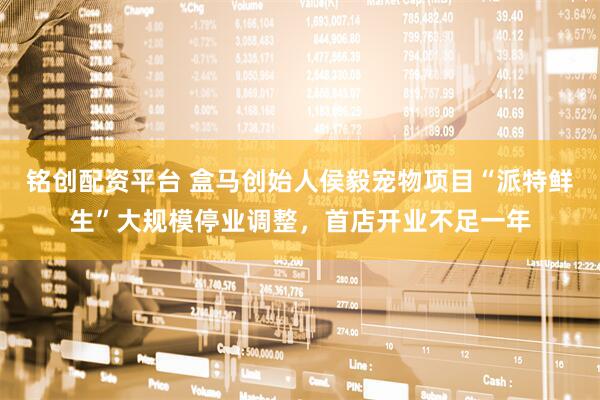 铭创配资平台 盒马创始人侯毅宠物项目“派特鲜生”大规模停业调整，首店开业不足一年